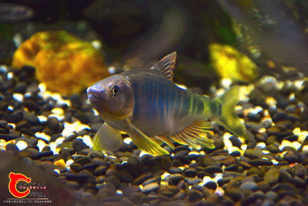DSC_2273.JPG