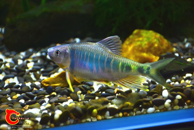 DSC_2301.JPG
