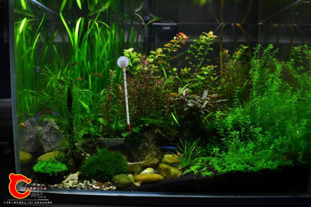 conew_conew_dsc_7831.jpg