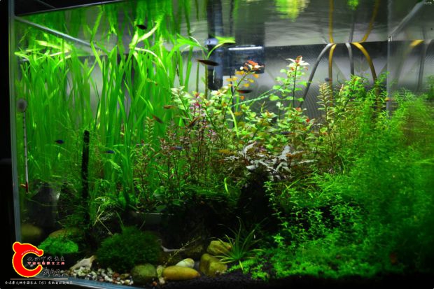 conew_conew_dsc_7844.jpg