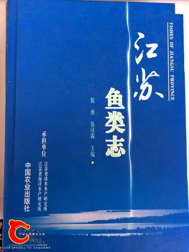 小蓝