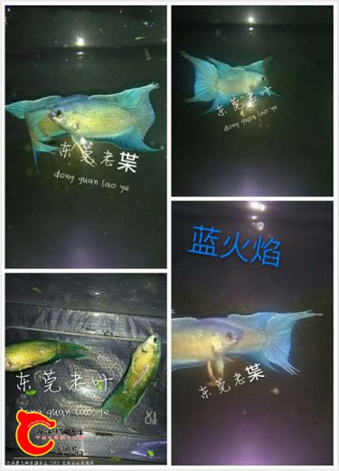 QQ图片20160103154957.jpg
