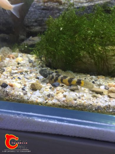 webwxgetmsgimg (1).jpg