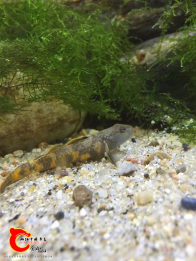 webwxgetmsgimg (4).jpg