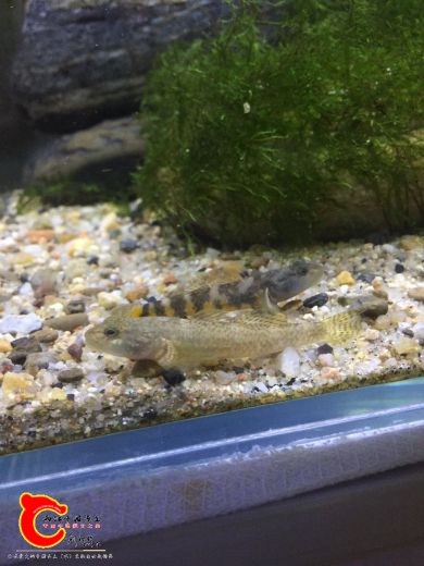 webwxgetmsgimg (5).jpg