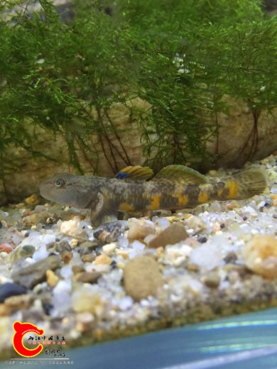 webwxgetmsgimg (6).jpg