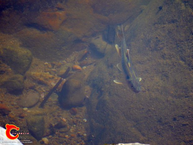 DSC02855.JPG