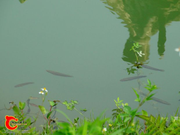 DSC02875.JPG