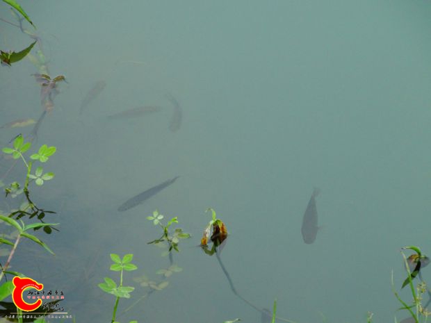 DSC02876.JPG