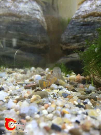 webwxgetmsgimg (1)_meitu_1.jpg