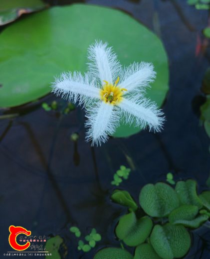 IMG_20160905_155044.jpg