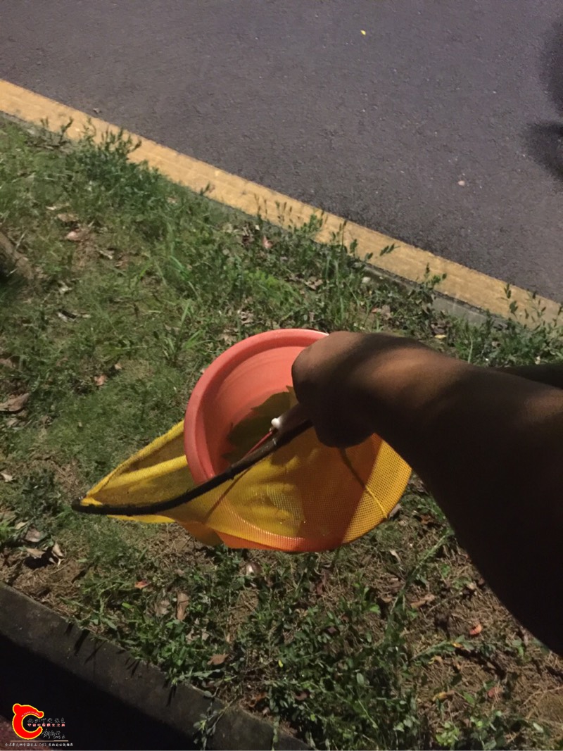 083258vydydrrshprlp3kp.jpg