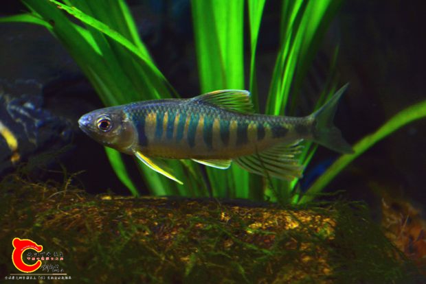 DSC_2308.JPG