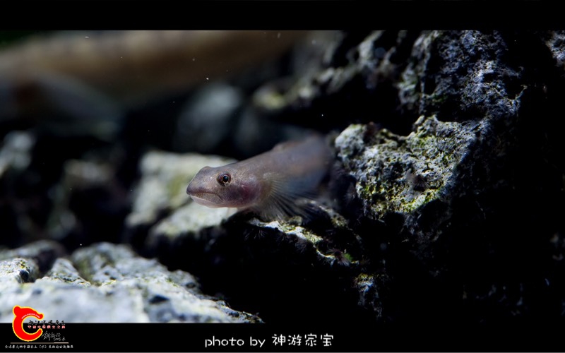 111512kb77ew6266bn733m.jpg