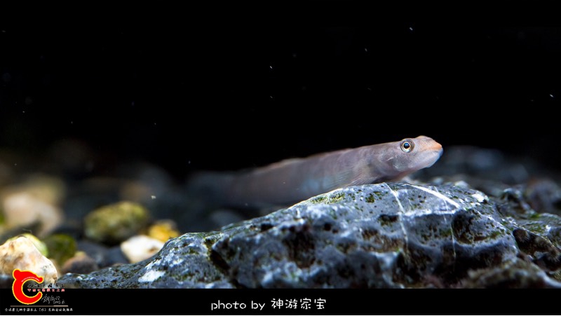 112413jrc4qa4xcsrtx4on.jpg