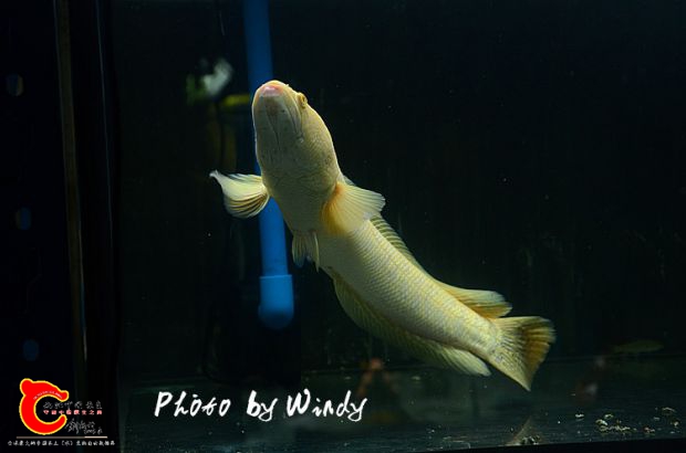 DSC_4740_副本.jpg