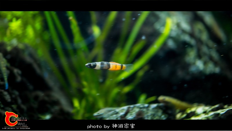114153qsgr0orx2jgxrrjk.jpg