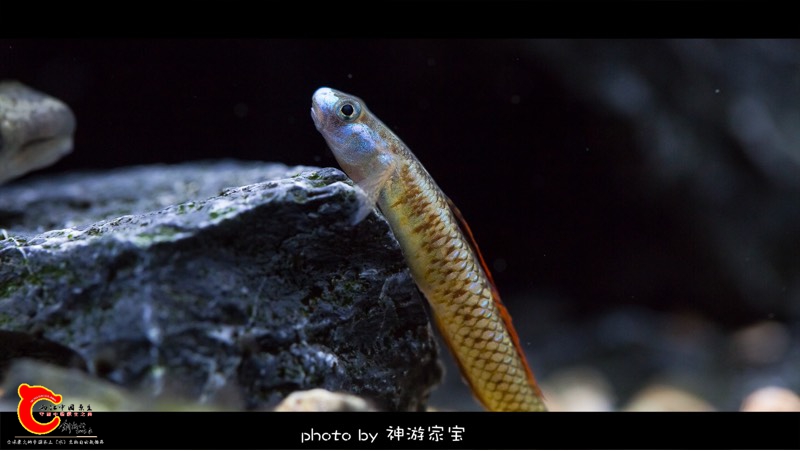 114839mm7tv1iqlcz11qts.jpg