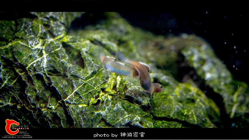 142143kt6h679t92l86j68.jpg