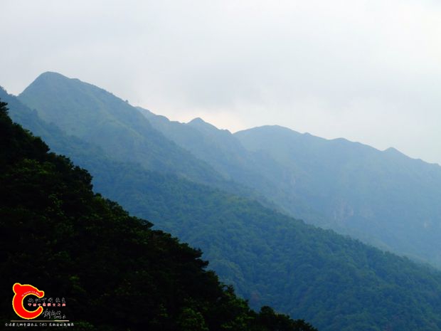 DSC02814.JPG