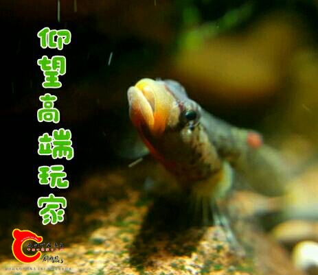 000324wsi0ji09q06qh3qq.jpg