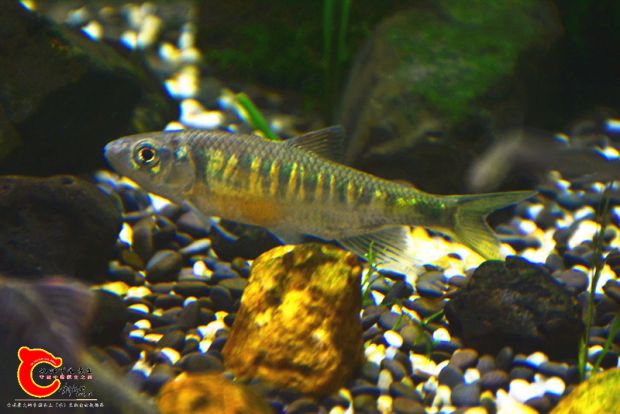 DSC_2268.JPG