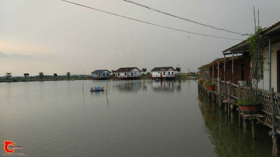 221535qwxg9dw9x95d5kpw.jpg
