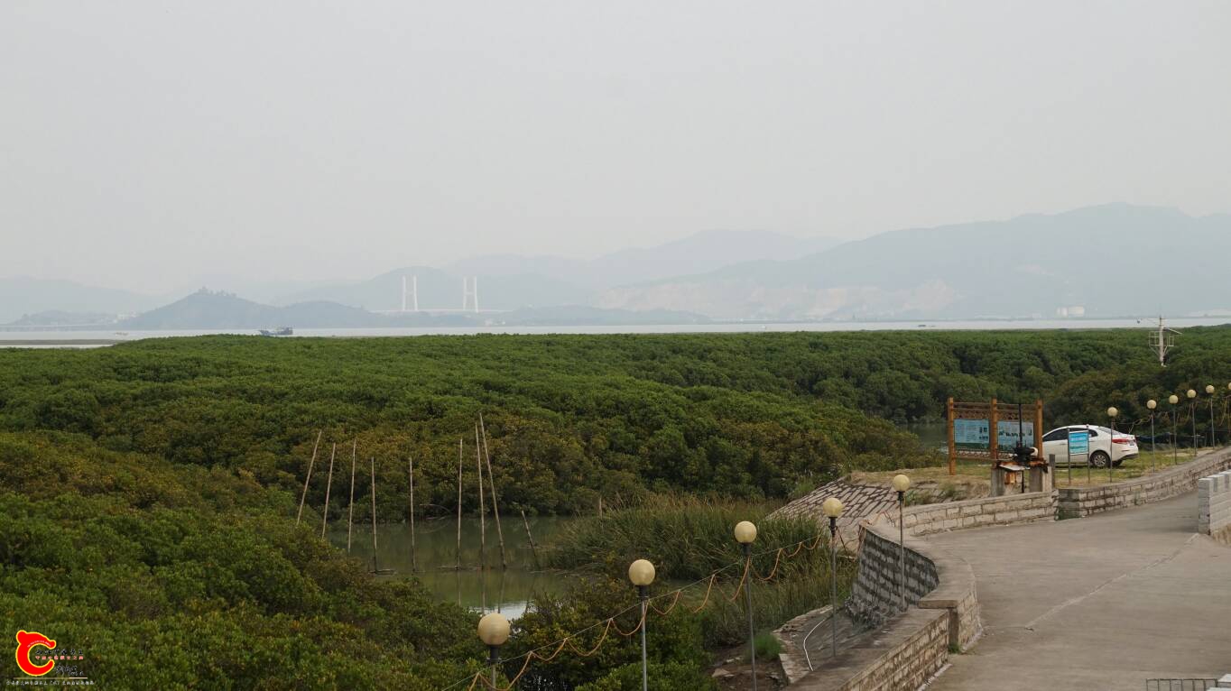 124216f5ok5a0bkiokagxa.JPG