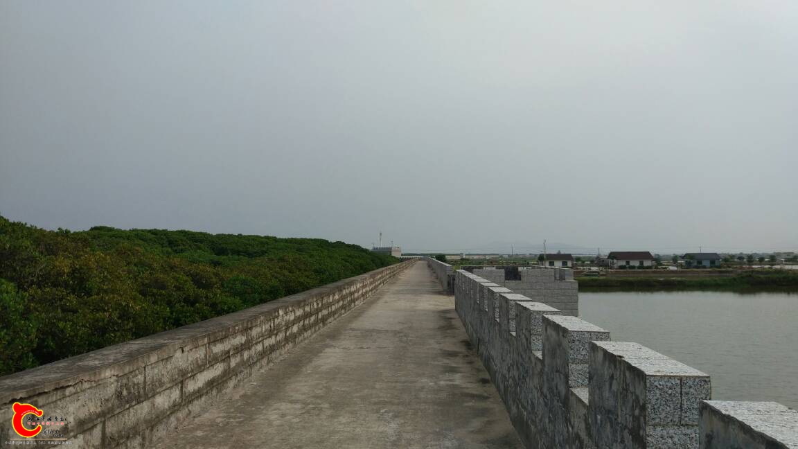 124217to5155c115k5o2pw.jpg