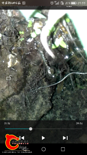 Screenshot_2016-09-10-09-55-00.png