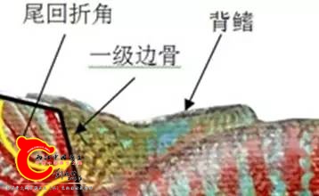 e5135be9db96e64880c5bf5dc96316f5.jpg
