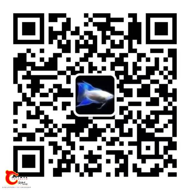 6419bfcbae7212d0c6fdf3ad498bee8b.jpg