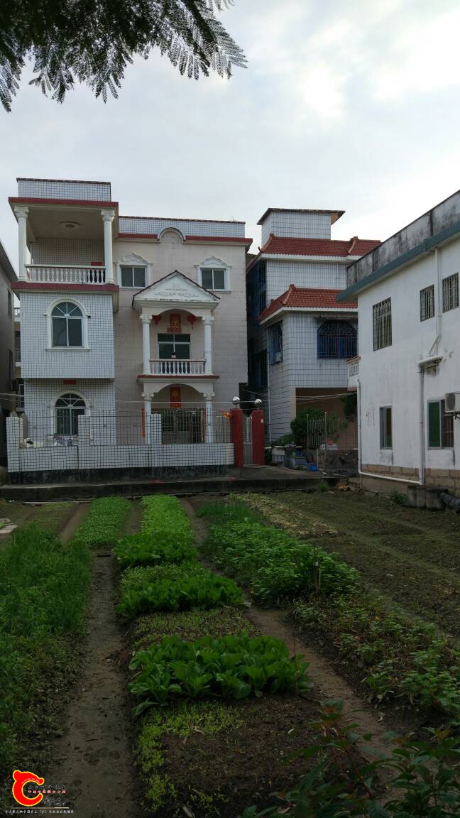 090311r247p4y7s35pqaq3.jpg
