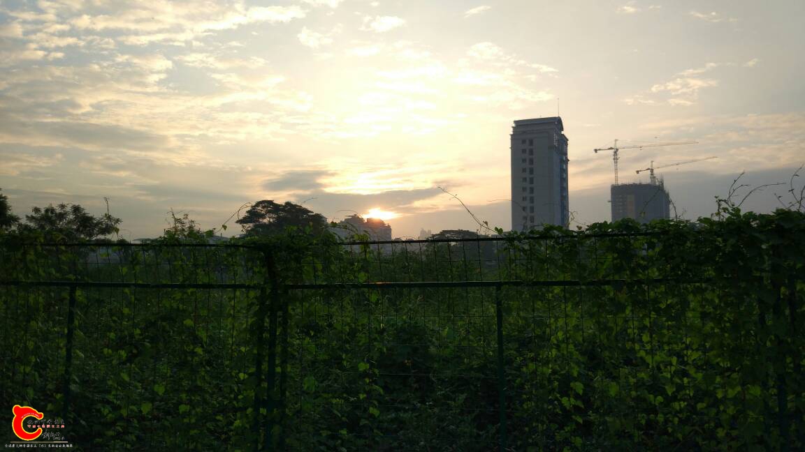 090312pzjt9o3zo8p3pe96.jpg