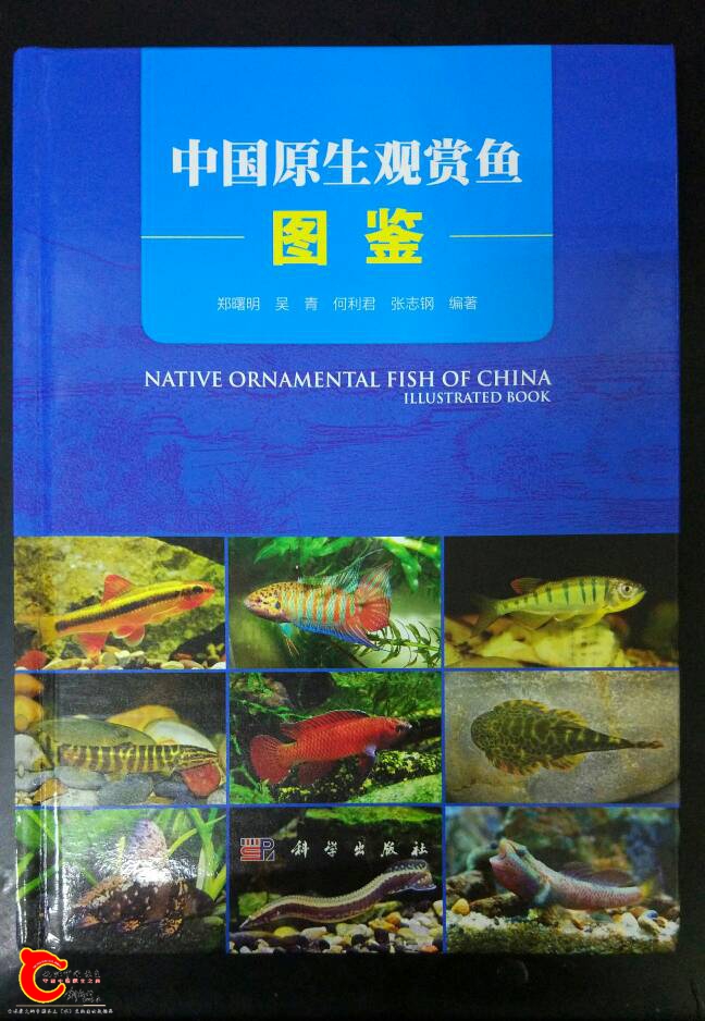 145521gs0irgoca4j0010k.jpg