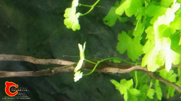 20160911_211405_副本.jpg