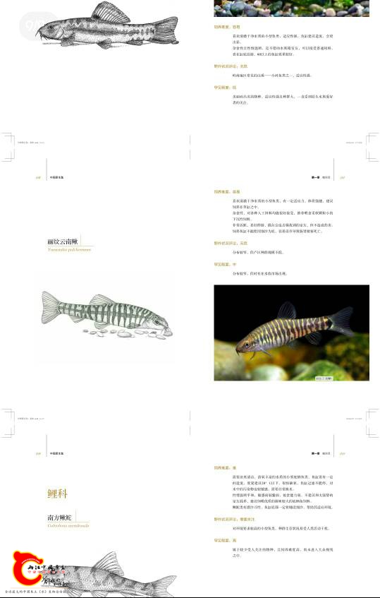 134500c4p6fs69e4fig14p.jpg
