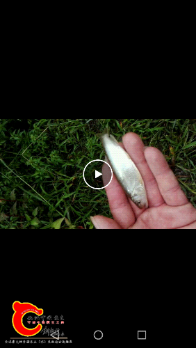 Screenshot_2016-09-15-19-55-13.png