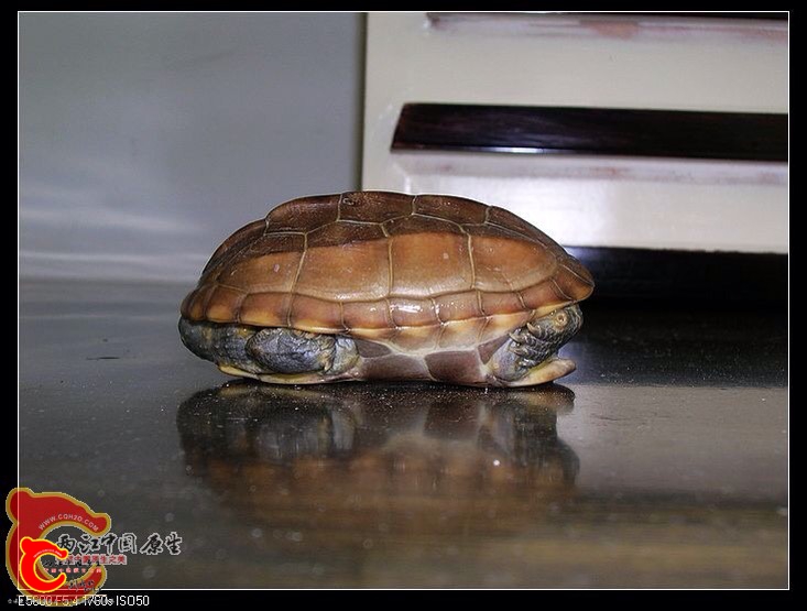 130927kfpnfofrk3flzq6r.jpg 130927kfpnfofrk3flzq6r.jpg