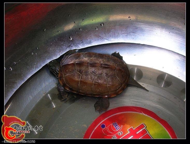 130927pf7q0kpn0hb7yffz.jpg 130927pf7q0kpn0hb7yffz.jpg