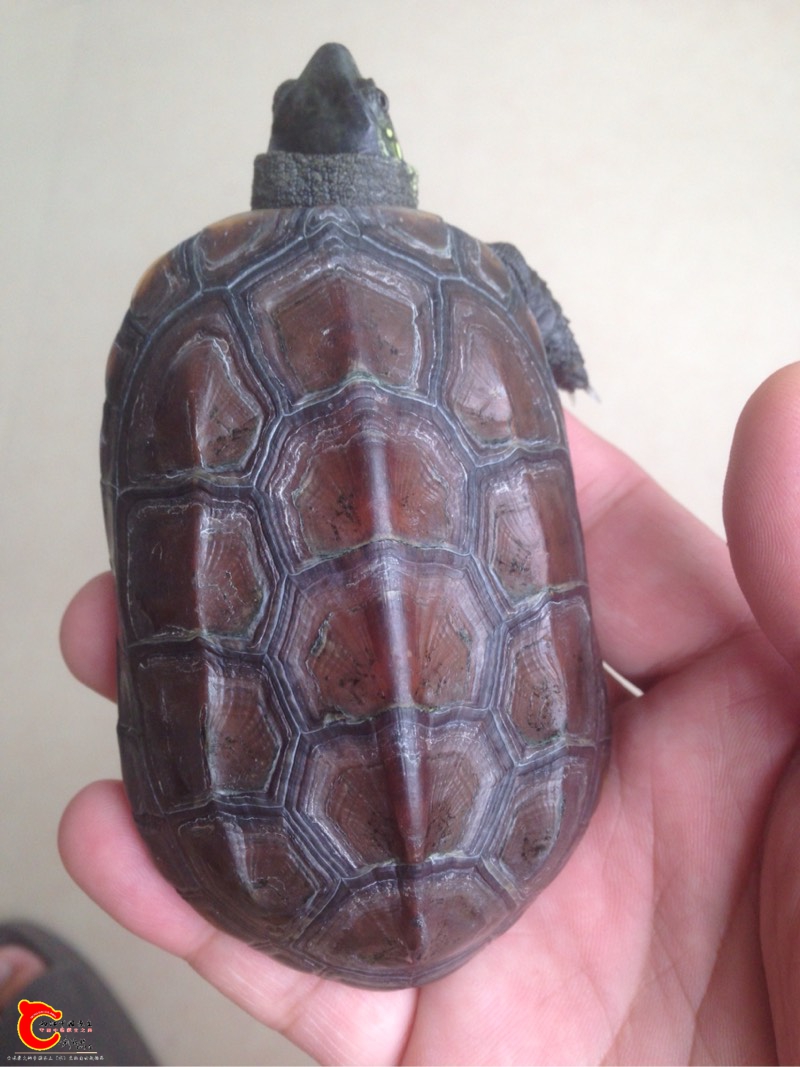 130928xlachho7vuoajlaa.jpg 130928xlachho7vuoajlaa.jpg