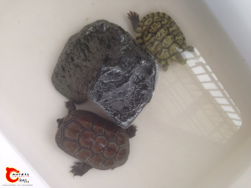 130928xn333mkig0kyzj04.jpg 130928xn333mkig0kyzj04.jpg