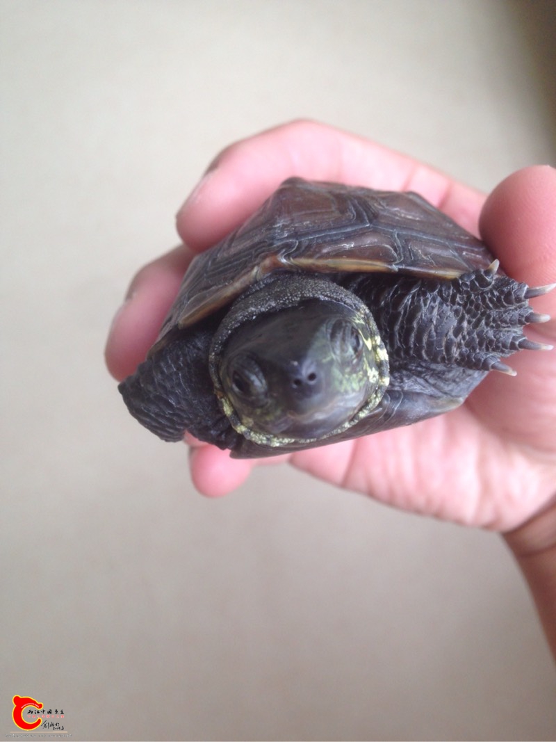 130929iczfk0k707xxd7e7.jpg 130929iczfk0k707xxd7e7.jpg