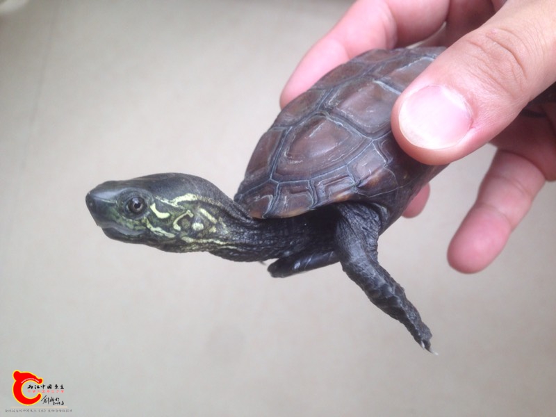 130930p78bpfl7w5eazpp8.jpg 130930p78bpfl7w5eazpp8.jpg