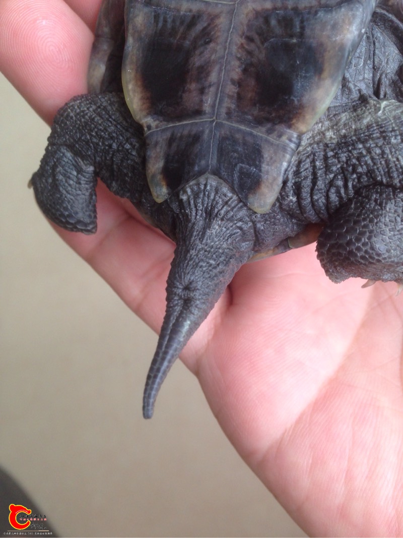 130930xsfkhwbw2wwc7c7w.jpg 130930xsfkhwbw2wwc7c7w.jpg