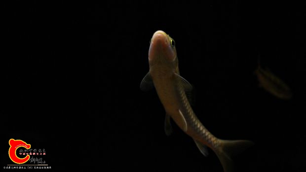IMG_8723.JPG