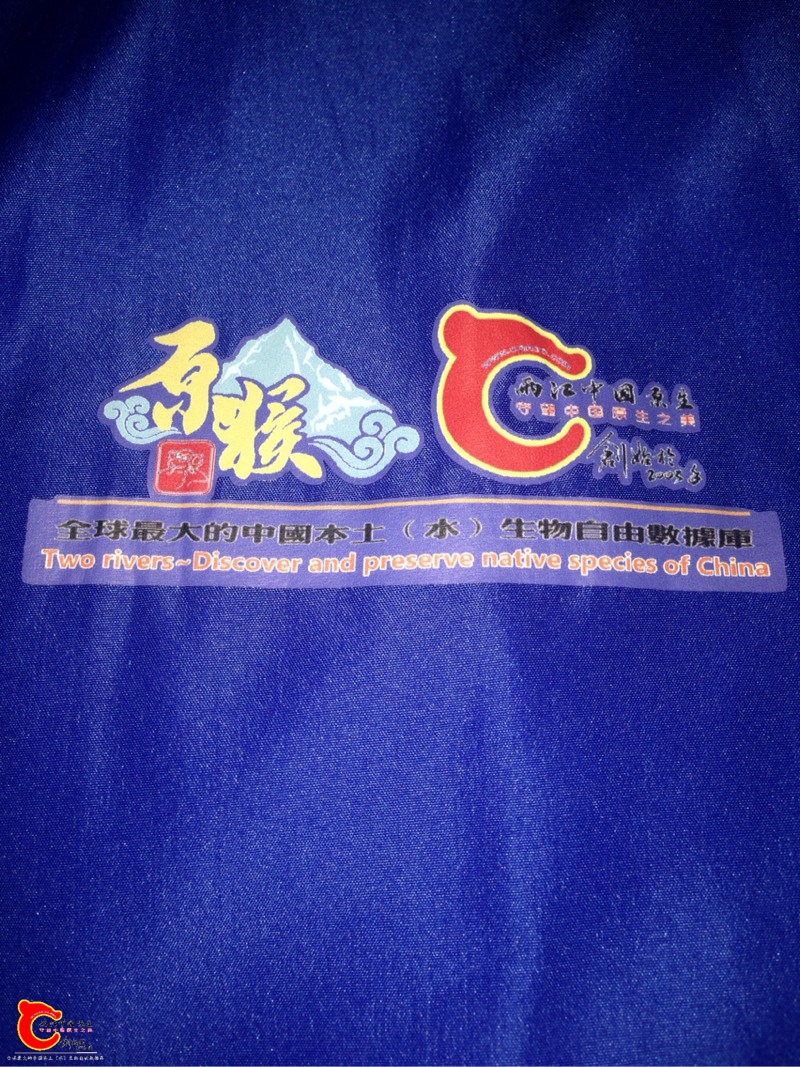 200631xcg7daw4o11fawe7.jpg
