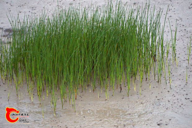 DSC00045_副本.jpg