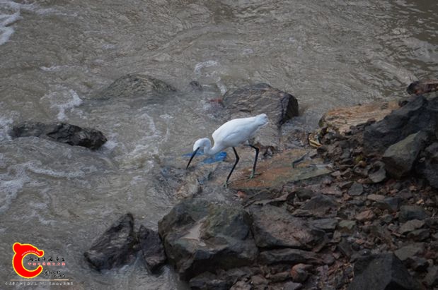 DSC00109_副本.jpg
