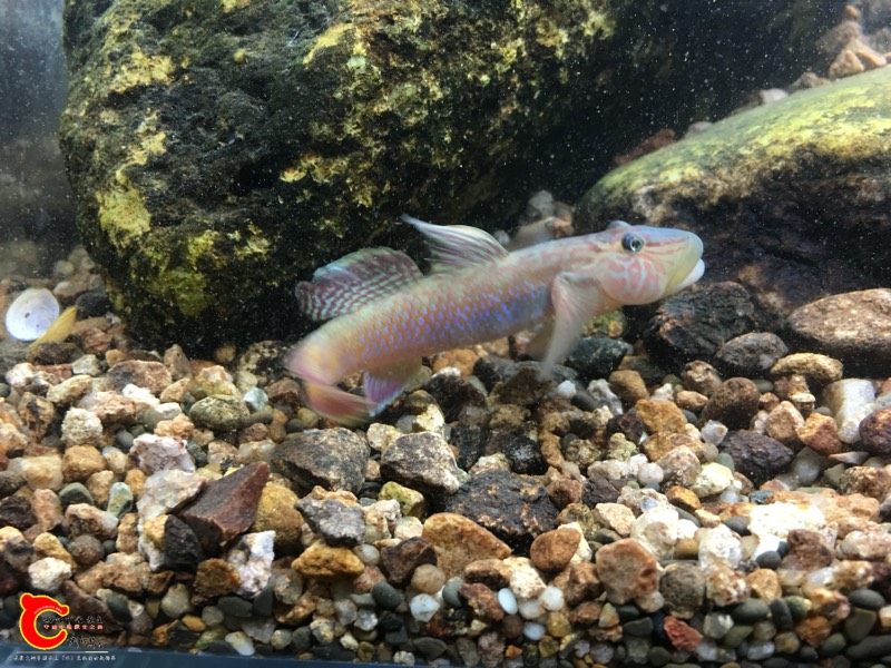 002251ygguhetug4g919qm.jpg